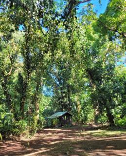 Gecko Hideaway Jungle Getaway - 4