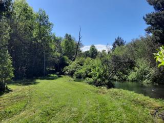 Domos Conguillío - Cabaña en el bosque - Melipeuco - 5