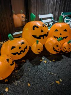 Cavehill city view - 7