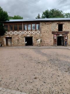 Chambre Château -  - 8