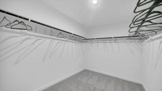 The Evergreen Escape - 8