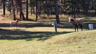 Luxe Villa Expansive Yard Near Rapid City - 9