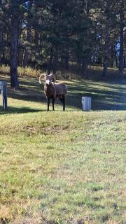 Luxe Villa Expansive Yard Near Rapid City - 8