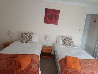 Sir Isaac Newton - 2