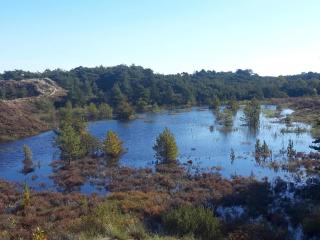 Luxury Retreat with Pool - By Traum Ferienwohnungen - 9