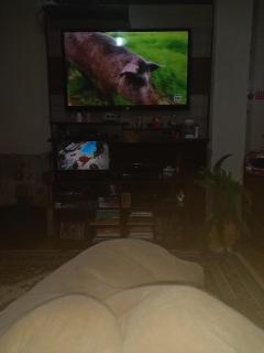 Quartos e chalés 4 km do Centro Turístico - 3