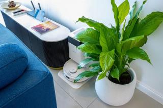 Your Ocean Sanctuary in Surfers Paradise - 3