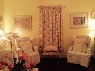 3BR 2BA Historic Mid City family BACH parties FQ!! - 3