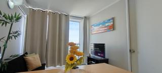 Apartmento en el Centro de Santiago - 9