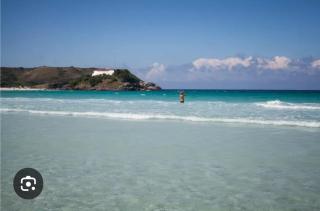 gamBOA Temporada - 8