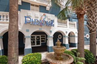 Oceanfront One-Bedroom Condo with Stunning Paradis 9th Floor - 8