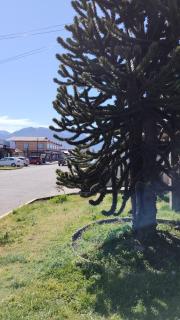 Cabañas Del Monte 3 - 4