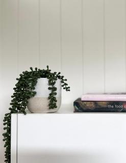 Atherton Tiny - Retreat with Fire Pit - 6