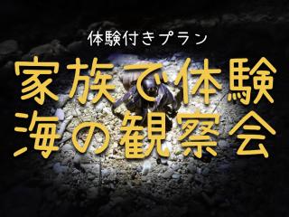 家族の笑顔 笑顔があふれる体験を 沖縄一棟貸しのお宿 Coral Onnason - 2