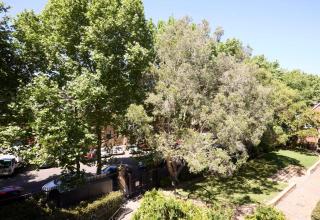 Tranquility in the City - 1