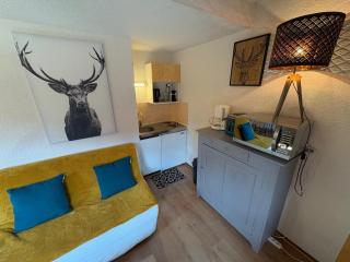 Studio avec mezzanine, balcon et parking privé - Animaux acceptés - FR-1-836-9 - 2