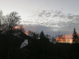 Studio 26 m² - 4 pers - Les Carroz d'Arâches - FR-1-836-10 - 3