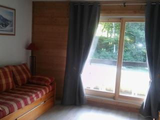 Studio 26 m² - 4 pers - Les Carroz d'Arâches - FR-1-836-10 - Les Carroz-d'Araches - 2