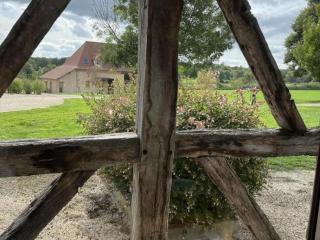 Gîte paisible Montbeugny 4 pers, animaux admis - FR-1-489-600 - 3