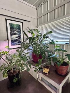 RelaxStation- AVL - 9