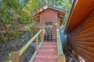 282 Cozy Cub cabin - 8