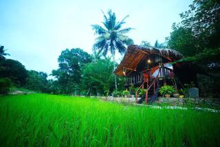 Aliya Safari Treehouse - 0