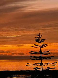 Luxury Pool Retreat Ocean & Mountain Views - 4