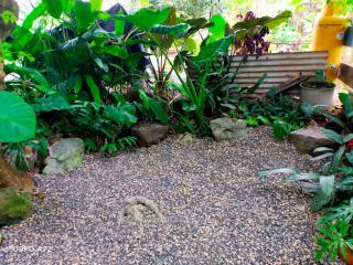 Mountain Breeze Rarotonga - 1