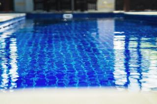 Trees and Fishes Private Retreat - 5