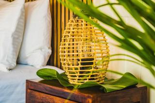 Trees and Fishes Private Retreat - 6