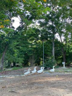 Pun's Garden Home - 3