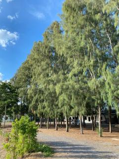 Pun's Garden Home - 6