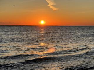 Dolphin House Rental Vacation - 3