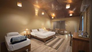 HABITAS RHINO BY NATURE HUNT - 1