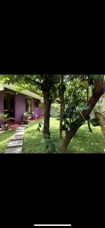 The Little House - 0