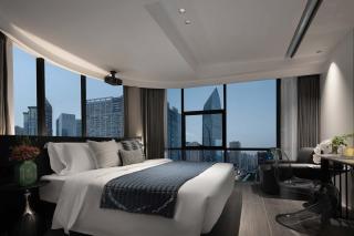 Shanqi · W Hotel (Chongqing Guanyinqiao Street) - 9