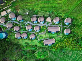 The Wapa Lux Tent - 4