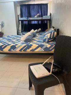 Harmony Transient - 7