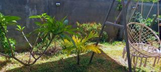 Gris Gris Guest House - 2