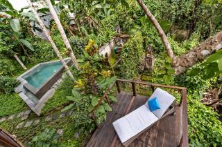 TREEHOUSE with private pool near YOGABARN - in Ubud center - 2