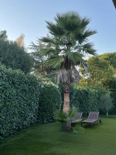 Sublime Villa with Pool and Jacuzzi - 2