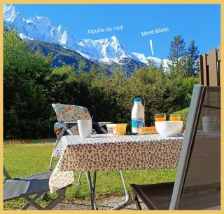 L'Aiguille de Chamonix I Appartement Les Praz - 4