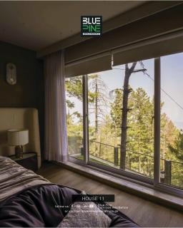 Blue Pine Mountain Homes - 8