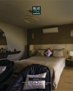 Blue Pine Mountain Homes - 1