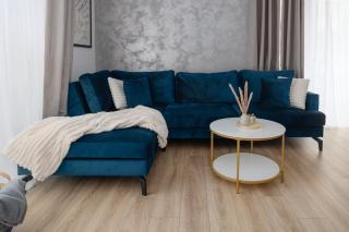 MoHost Velvet - Where comfort meets charm - 9