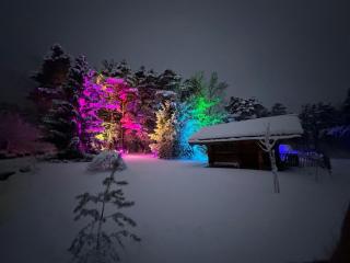 WoodMood Cabin with Private Spa - 0