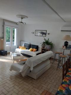 maison individuel proche des châteaux et Amboise avec jardin clos - 8