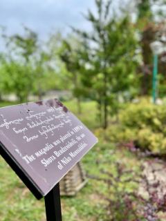 Niko Mamasakhlisi Guest House - 3