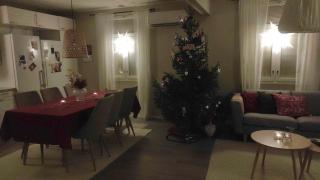 Spacious and cozy family-friendly wooden house - 2