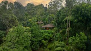 The Woods Resorts Wayanad - 0